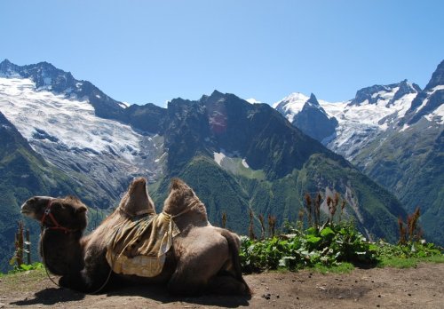 2009 KARACZAJO CZERKIESJA  