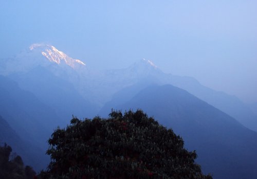 2010 ANNAPURNA TREK  