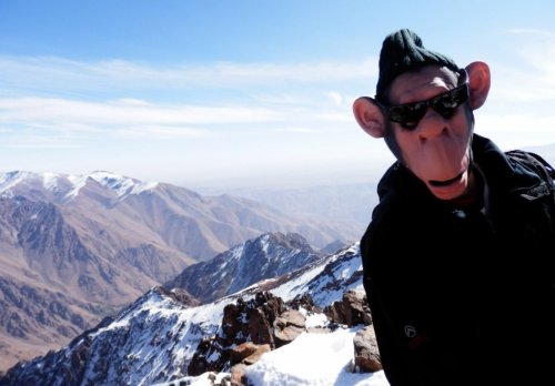 2011 PEOPLE ON THE ROAD